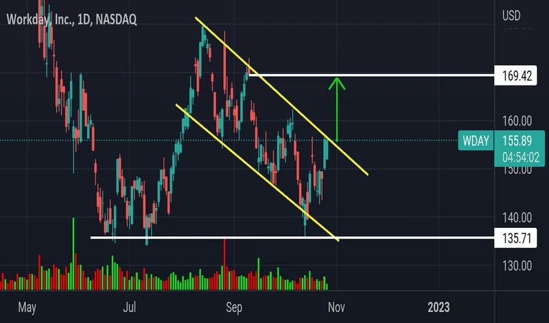 Workday Stock: Decoding Its Trajectory and the Promise Ahead